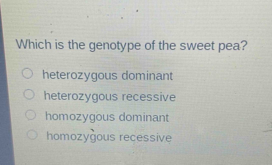which is the genotype of the sweet pea?\nheterozygous dominant\nheterozygous recessive\nhomozygous dominant\nhomozygous recessive
