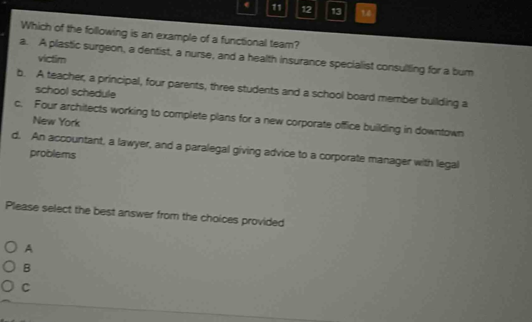 which of the following is an example of a functional team?\na. a plastic surgeon, a dentist, a nurse, and a health insurance specialist consulting for a burn victim\nb. a teacher, a principal, four parents, three students and a school board member building a school schedule\nc. four architects working to complete plans for a new corporate office building in downtown new york\nd. an accountant, a lawyer, and a paralegal giving advice to a corporate manager with legal problems\nplease select the best answer from the choices provided\no a\no b\no c