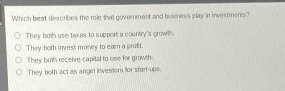 which best describes the role that government and business play in investments?\no they both use taxes to support a countrys growth.\no they both invest money to earn a profit.\no they both receive capital to use for growth.\no they both act as angel investors for start - ups.