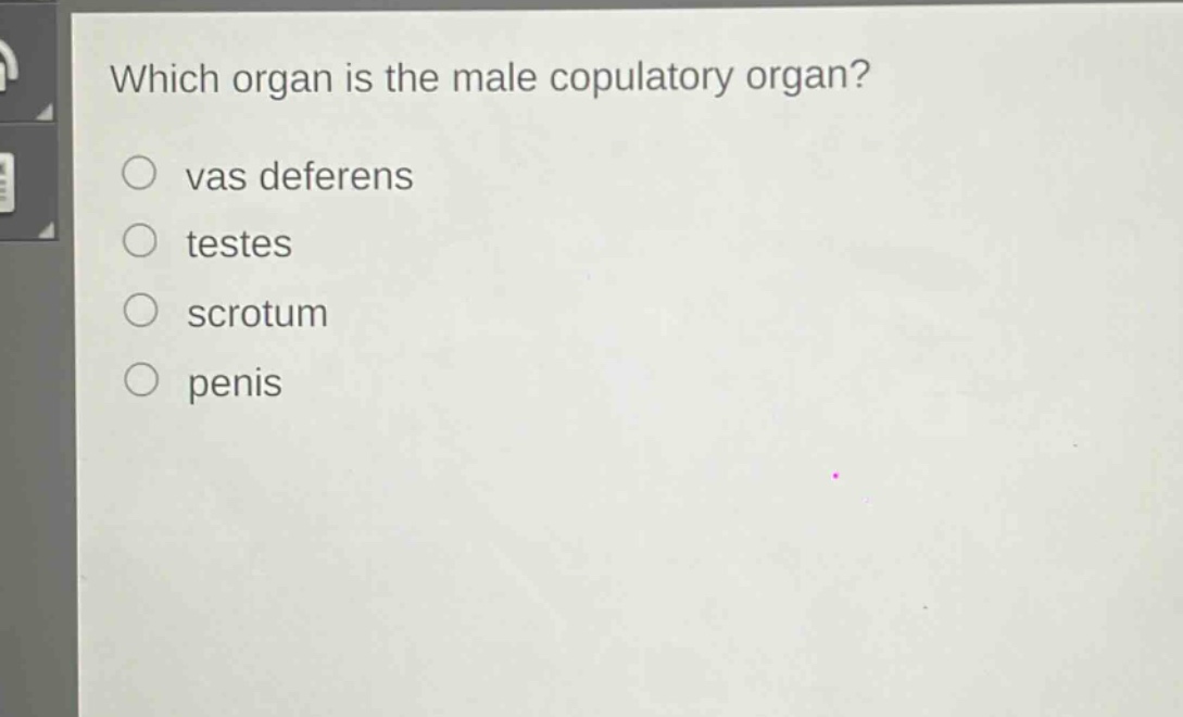 which organ is the male copulatory organ?\n○ vas deferens\n○ testes\n○ scrotum\n○ penis