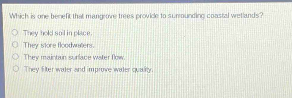 which is one benefit that mangrove trees provide to surrounding coastal wetlands?\nthey hold soil in place.\nthey store floodwaters.\nthey maintain surface water flow.\nthey filter water and improve water quality.