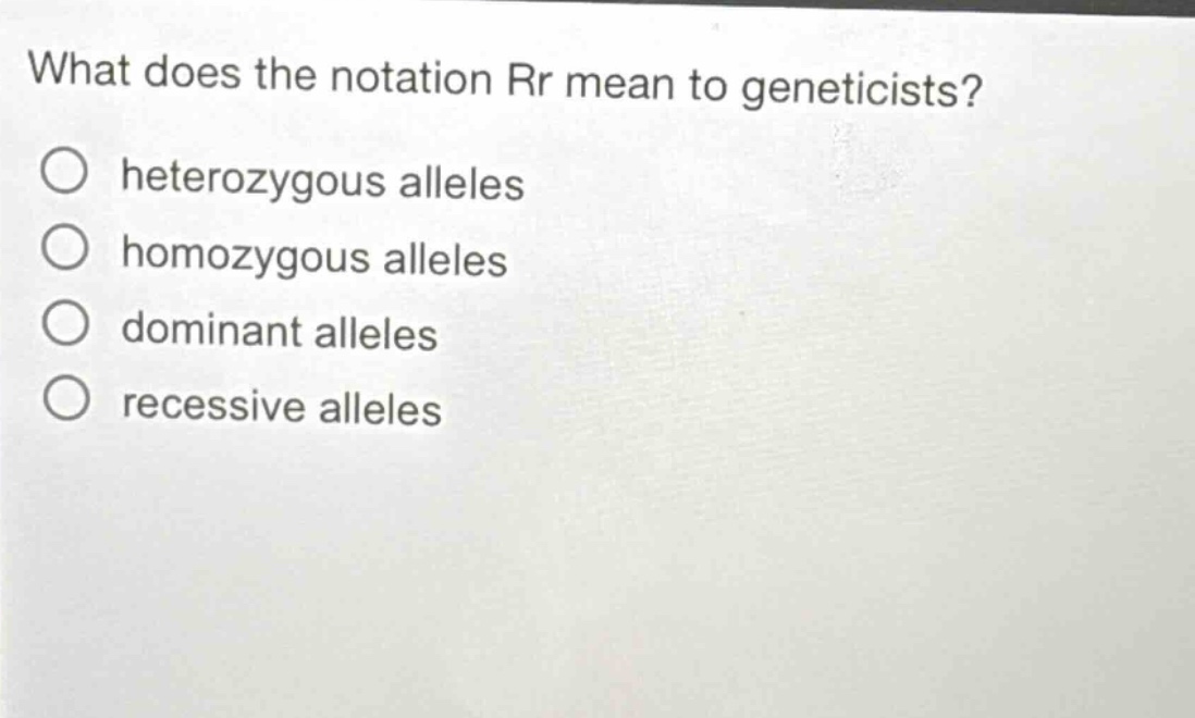what does the notation rr mean to geneticists?\n○ heterozygous alleles\n○ homozygous alleles\n○ dominant alleles\n○ recessive alleles