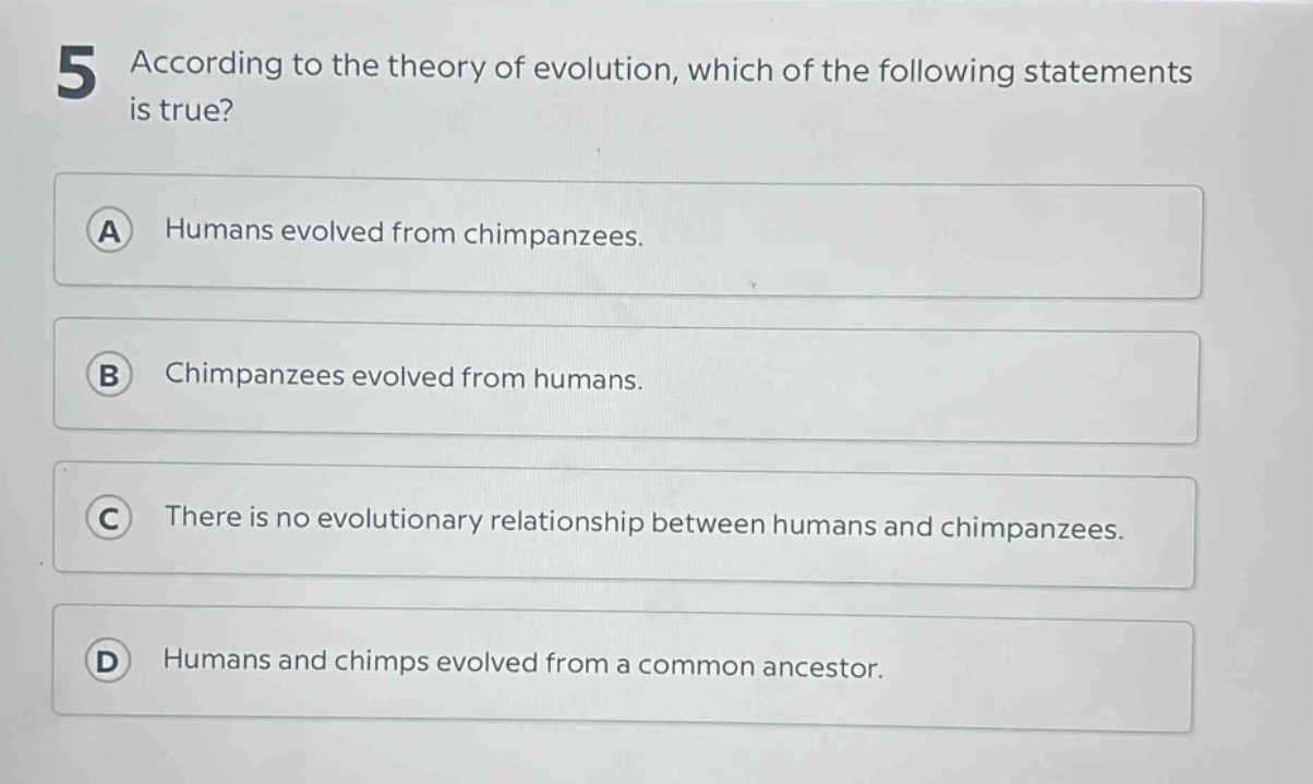 5 according to the theory of evolution, which of the following statements is true?\na humans evolved from chimpanzees.\nb chimpanzees evolved from humans.\nc there is no evolutionary relationship between humans and chimpanzees.\nd humans and chimps evolved from a common ancestor.