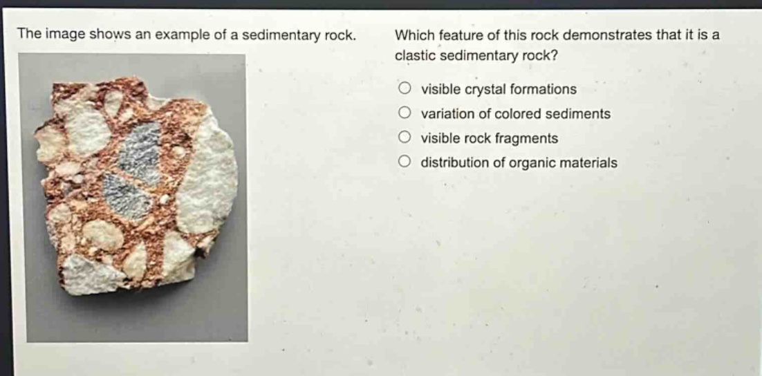 the image shows an example of a sedimentary rock. which feature of this rock demonstrates that it is a clastic sedimentary rock? visible crystal formations variation of colored sediments visible rock fragments distribution of organic materials