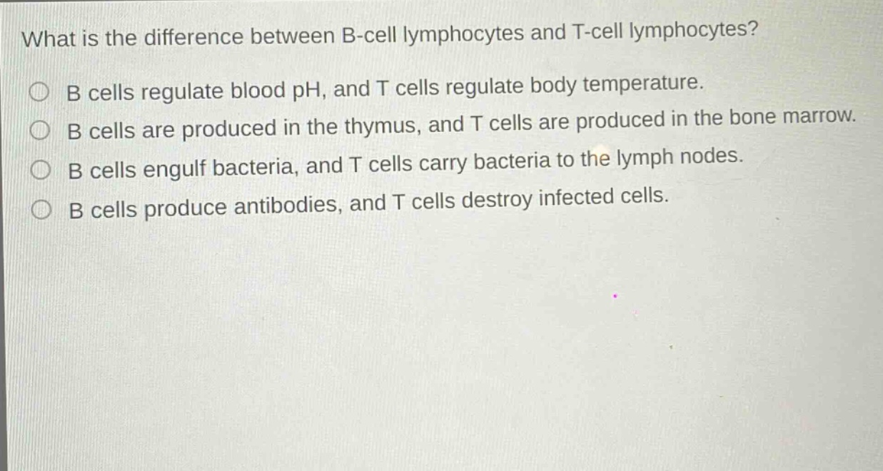 what is the difference between b - cell lymphocytes and t - cell lymphocytes?\nb cells regulate blood ph, and t cells regulate body temperature.\nb cells are produced in the thymus, and t cells are produced in the bone marrow.\nb cells engulf bacteria, and t cells carry bacteria to the lymph nodes.\nb cells produce antibodies, and t cells destroy infected cells.