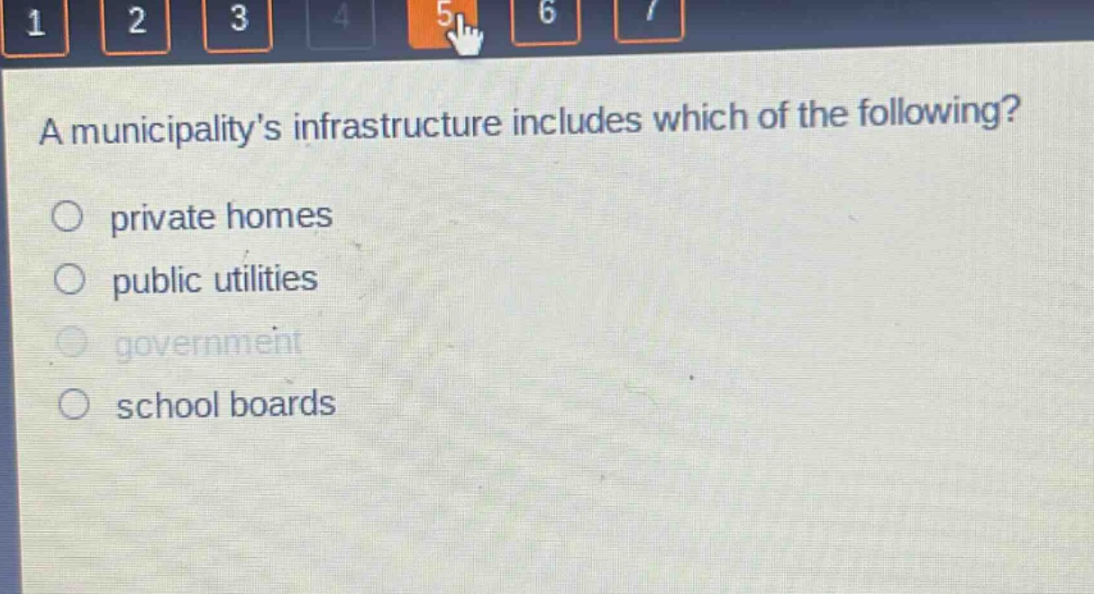 a municipalitys infrastructure includes which of the following?\nprivate homes\npublic utilities\ngovernment\nschool boards