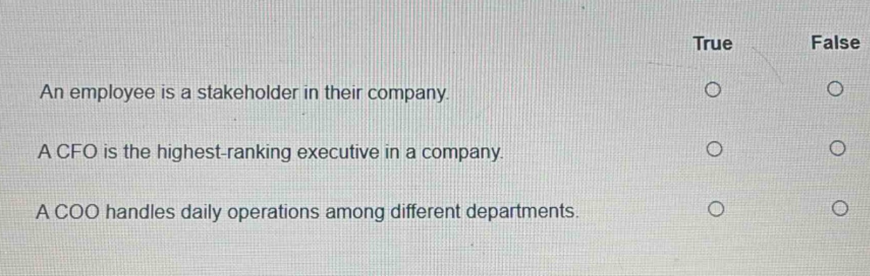 an employee is a stakeholder in their company.\na cfo is the highest - ranking executive in a company.\na coo handles daily operations among different departments.\ntrue false