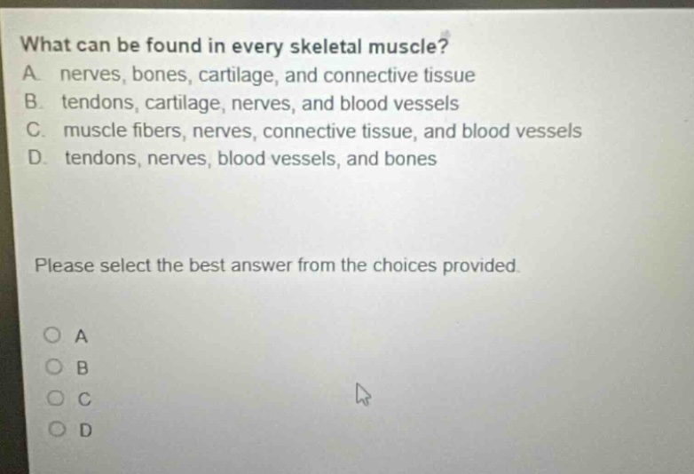 what can be found in every skeletal muscle?\na. nerves, bones, cartilage, and connective tissue\nb. tendons, cartilage, nerves, and blood vessels\nc. muscle fibers, nerves, connective tissue, and blood vessels\nd. tendons, nerves, blood vessels, and bones\nplease select the best answer from the choices provided.\no a\no b\no c\no d