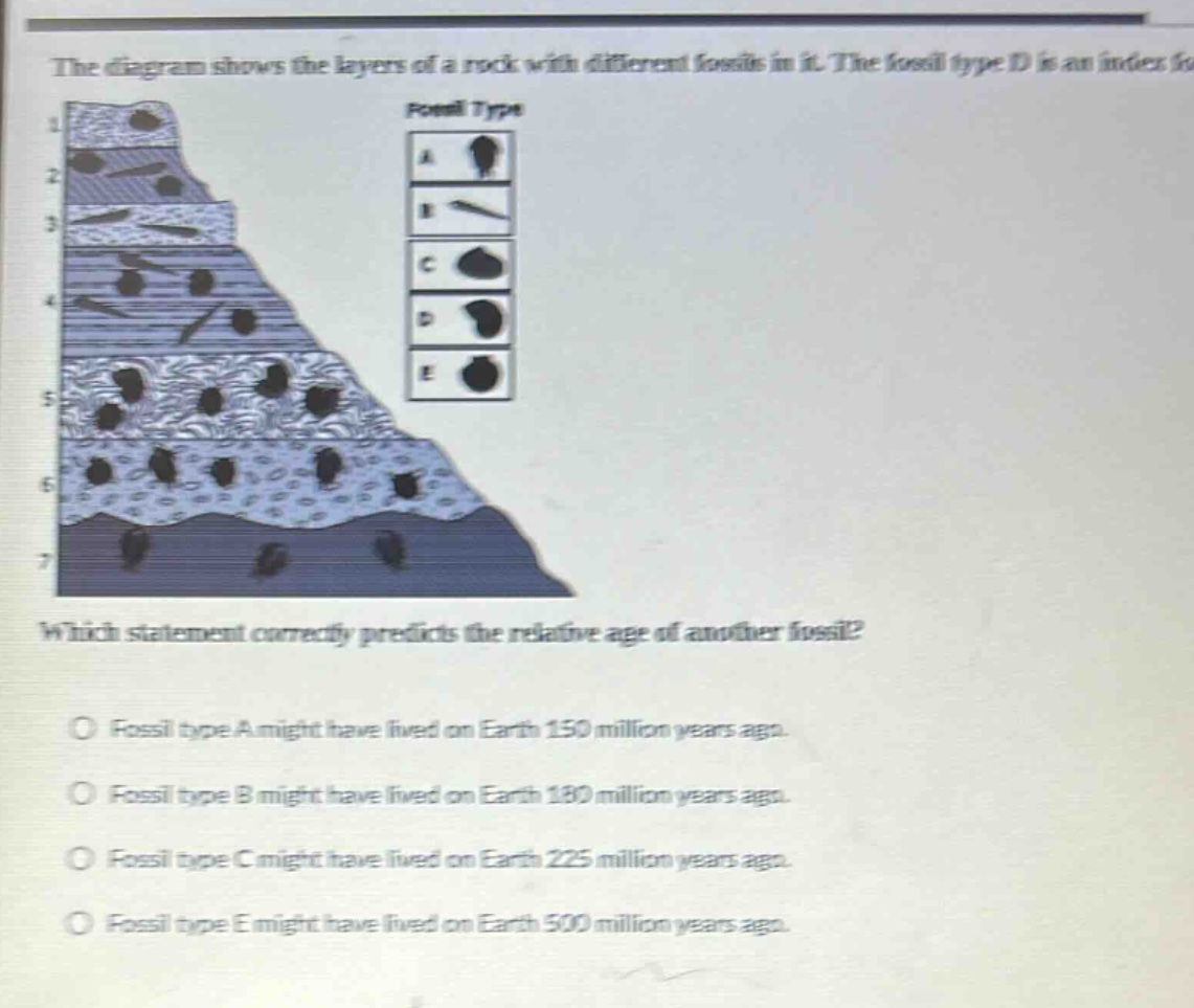 the diagram shows the layers of a rock with different fossils in it. the fossil type d is an index fossil. which statement correctly predicts the relative age of another fossil? fossil type a might have lived on earth 150 million years ago. fossil type b might have lived on earth 180 million years ago. fossil type c might have lived on earth 225 million years ago. fossil type e might have lived on earth 500 million years ago.