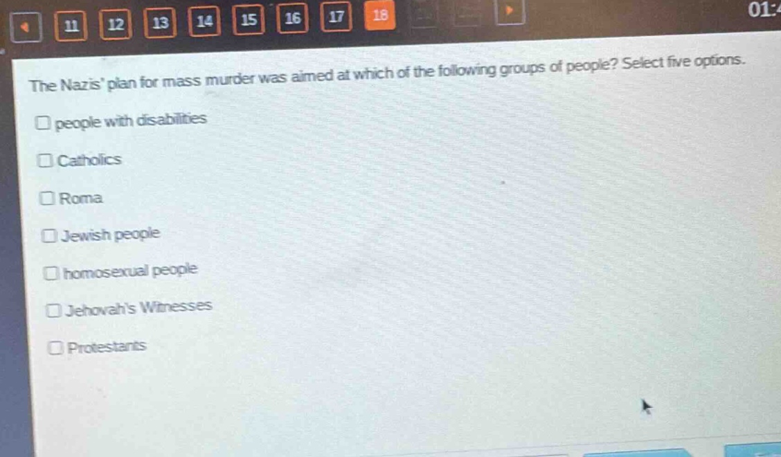 the nazis plan for mass murder was aimed at which of the following groups of people? select five options.\n□ people with disabilities\n□ catholics\n□ roma\n□ jewish people\n□ homosexual people\n□ jehovahs witnesses\n□ protestants