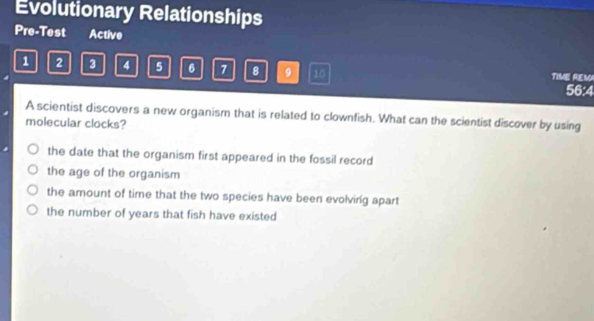 a scientist discovers a new organism that is related to clownfish. what can the scientist discover by using molecular clocks?\n- the date that the organism first appeared in the fossil record\n- the age of the organism\n- the amount of time that the two species have been evolving apart\n- the number of years that fish have existed