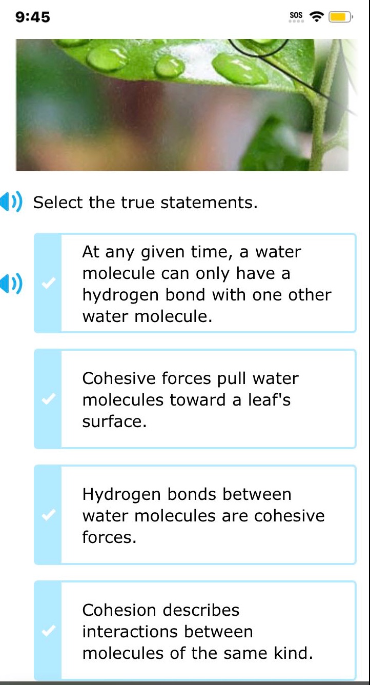 select the true statements. at any given time, a water molecule can only have a hydrogen bond with one other water molecule. cohesive forces pull water molecules toward a leafs surface. hydrogen bonds between water molecules are cohesive forces. cohesion describes interactions between molecules of the same kind.