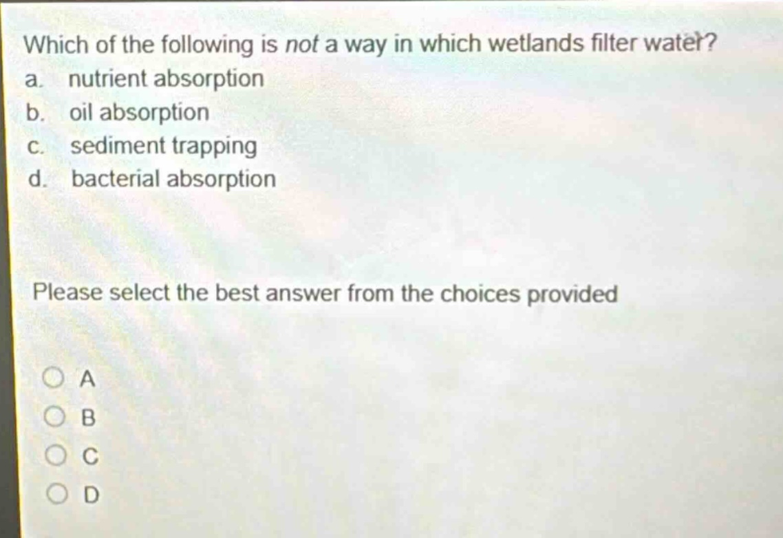 which of the following is not a way in which wetlands filter water? a. nutrient absorption b. oil absorption c. sediment trapping d. bacterial absorption please select the best answer from the choices provided