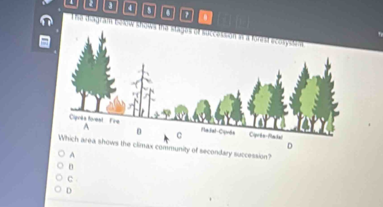 the diagram below shows the stages of succession in a forest ecosystem.\nwhich area shows the climax community of secondary succession?\na\nb\nc\nd