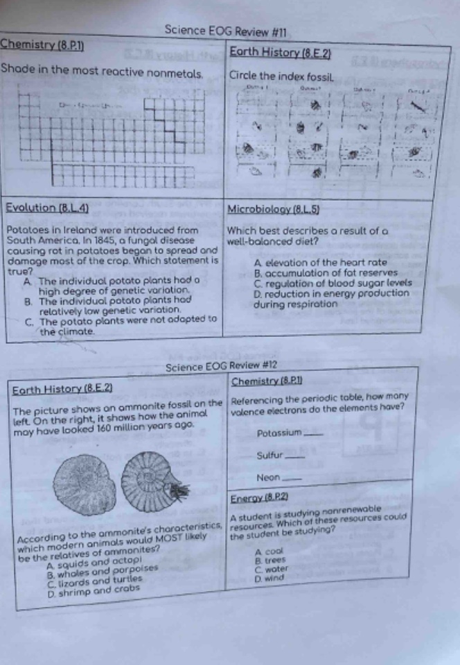 science eog review #11\nchemistry (8.p.1)\nshade in the most reactive nonmetals.\nearth history (8.e.2)\ncircle the index fossil.\nevolution (8.l.4)\npotatoes in ireland were introduced from south america. in 1845, a fungal disease causing rot in potatoes began to spread and damage most of the crop. which statement is true?\na. the individual potato plants had a high degree of genetic variation.\nb. the individual potato plants had relatively low genetic variation.\nc. the potato plants were not adapted to the climate.\nmicrobiology (8.l.5)\nwhich best describes a result of a well - balanced diet?\na. elevation of the heart rate\nb. accumulation of fat reserves\nc. regulation of blood sugar levels\nd. reduction in energy production during respiration\nscience eog review #12\nearth history (8.e.2)\nthe picture shows an ammonite fossil on the left. on the right, it shows how the animal may have looked 160 million years ago.\naccording to the ammonites characteristics, which modern animals would most likely be the relatives of ammonites?\na. squids and octopi\nb. whales and porpoises\nc. lizards and turtles\nd. shrimp and crabs\nchemistry (8.p.1)\nreferencing the periodic table, how many valence electrons do the elements have?\npotassium \nsulfur \nneon \nenergy (8.p.2)\na student is studying nonrenewable resources. which of these resources is the student studying?\na. coal\nb. trees\nc. water\nd. wind