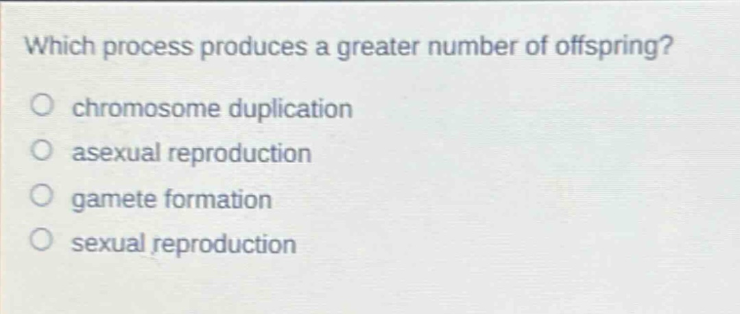 which process produces a greater number of offspring?\n○ chromosome duplication\n○ asexual reproduction\n○ gamete formation\n○ sexual reproduction
