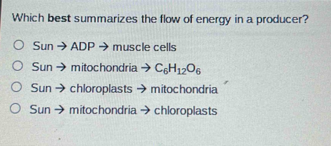 which best summarizes the flow of energy in a producer?\nsun → adp → muscle cells\nsun → mitochondria → c₆h₁₂o₆\nsun → chloroplasts → mitochondria\nsun → mitochondria → chloroplasts