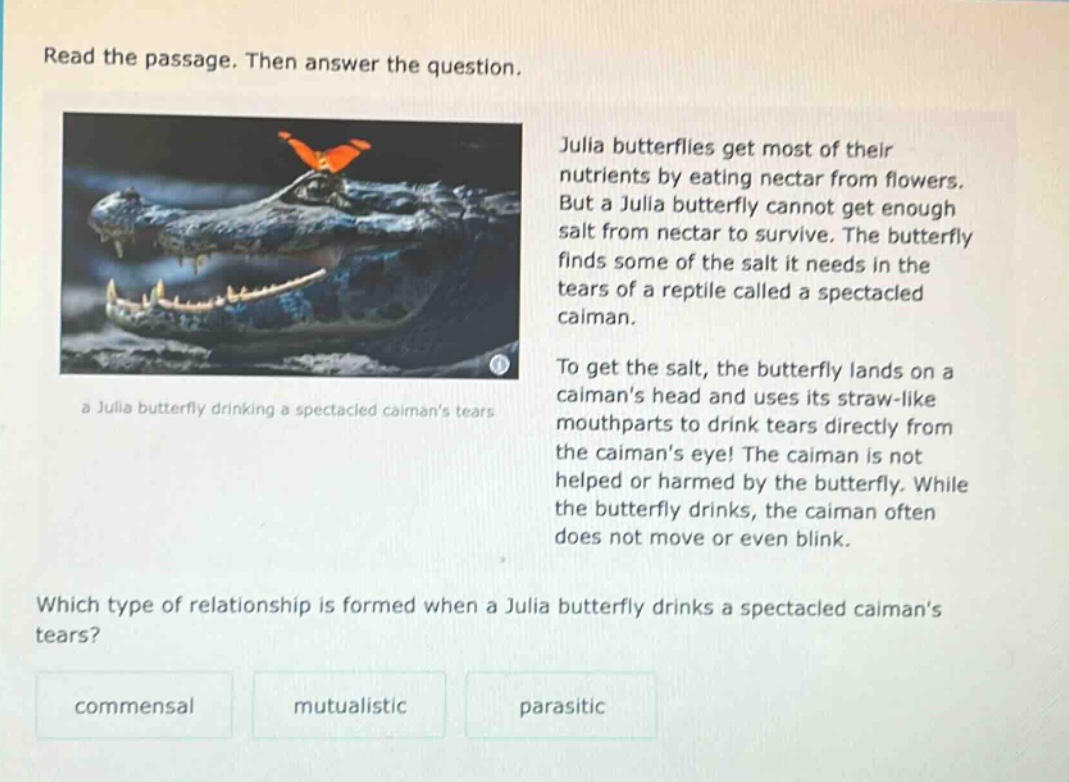 read the passage. then answer the question. julia butterflies get most of their nutrients by eating nectar from flowers. but a julia butterfly cannot get enough salt from nectar to survive. the butterfly finds some of the salt it needs in the tears of a reptile called a spectacled caiman. to get the salt, the butterfly lands on a caimans head and uses its straw - like mouthparts to drink tears directly from the caimans eye! the caiman is not helped or harmed by the butterfly. while the butterfly drinks, the caiman often does not move or even blink. which type of relationship is formed when a julia butterfly drinks a spectacled caimans tears? commensal mutualistic parasitic