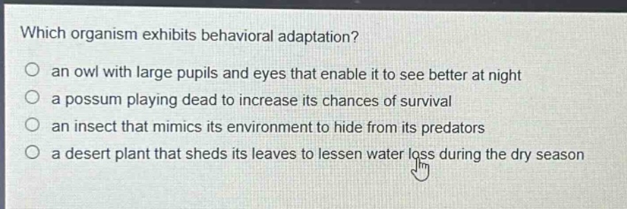which organism exhibits behavioral adaptation?\no an owl with large pupils and eyes that enable it to see better at night\no a possum playing dead to increase its chances of survival\no an insect that mimics its environment to hide from its predators\no a desert plant that sheds its leaves to lessen water loss during the dry season