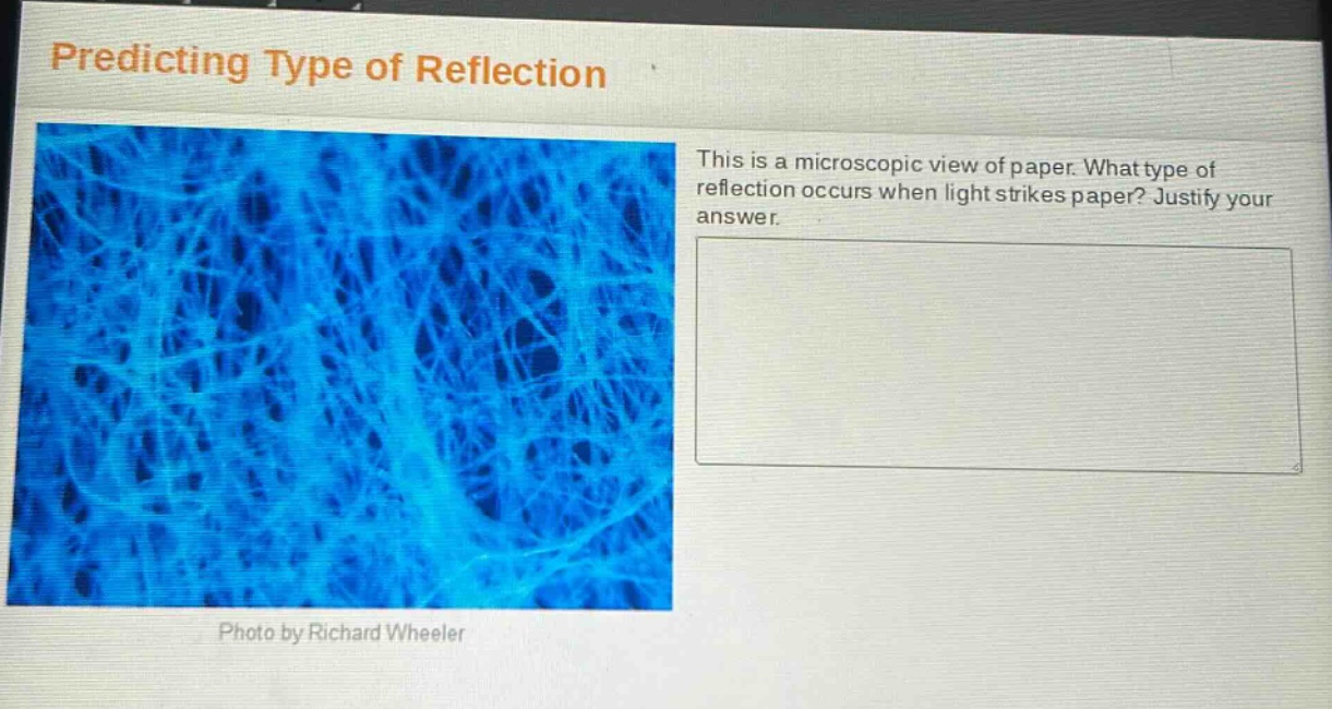 predicting type of reflection\nthis is a microscopic view of paper. what type of reflection occurs when light strikes paper? justify your answer.