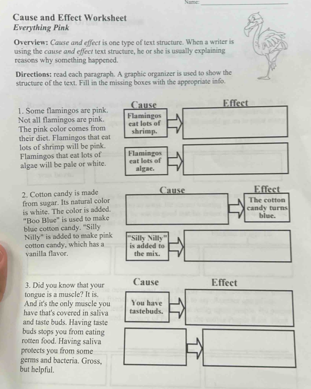 cause and effect worksheet\neverything pink\noverview: cause and effect is one type of text structure. when a writer is using the cause and effect text structure, he or she is usually explaining reasons why something happened.\ndirections: read each paragraph. a graphic organizer is used to show the structure of the text. fill in the missing boxes with the appropriate info.\n1. some flamingos are pink. not all flamingos are pink. the pink color comes from their diet. flamingos that eat lots of shrimp will be pink. flamingos that eat lots of algae will be pale or white.\n2. cotton candy is made from sugar. its natural color is white. the color is added. \boo blue\ is used to make blue cotton candy. \silly nilly\ is added to make pink cotton candy, which has a vanilla flavor.\n3. did you know that your tongue is a muscle? it is. and its the only muscle you have thats covered in saliva and taste buds. having taste buds stops you from eating rotten food. having saliva protects you from some germs and bacteria. gross, but helpful.