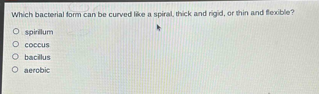 which bacterial form can be curved like a spiral, thick and rigid, or thin and flexible?\no spirillum\no coccus\no bacillus\no aerobic