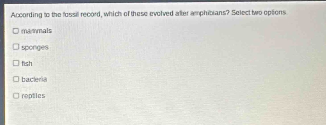 according to the fossil record, which of these evolved after amphibians? select two options. mammals sponges fish bacteria reptiles