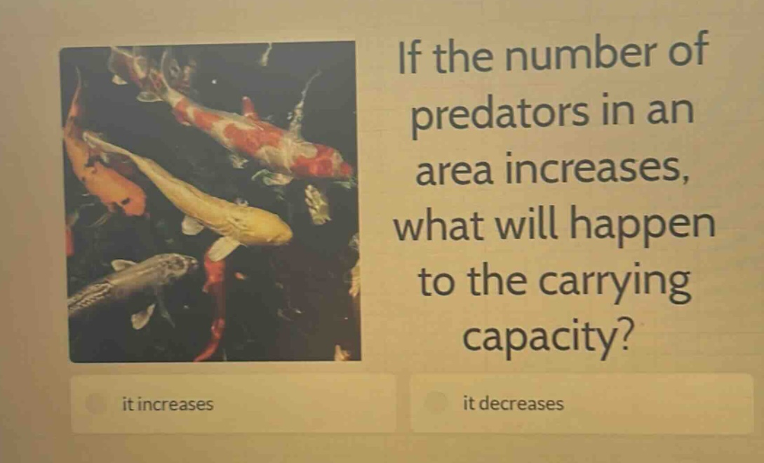 if the number of predators in an area increases, what will happen to the carrying capacity? it increases it decreases