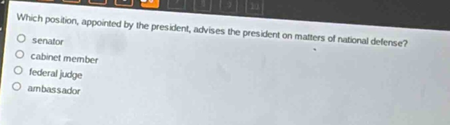which position, appointed by the president, advises the president on matters of national defense?\no senator\no cabinet member\no federal judge\no ambassador