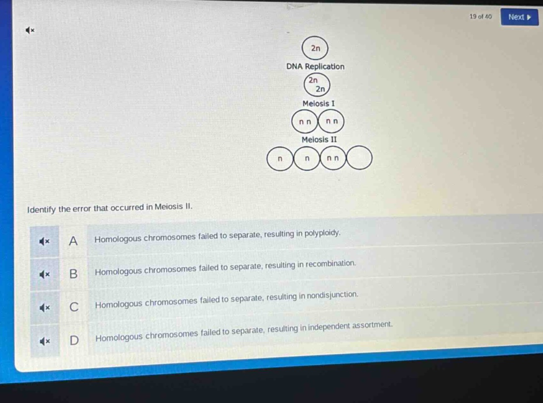 identify the error that occurred in meiosis ii.\na homologous chromosomes failed to separate, resulting in polyploidy.\nb homologous chromosomes failed to separate, resulting in recombination.\nc homologous chromosomes failed to separate, resulting in nondisjunction.\nd homologous chromosomes failed to separate, resulting in independent assortment.