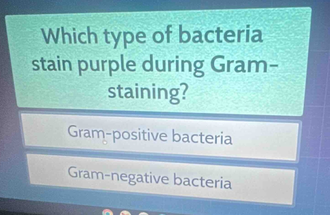 which type of bacteria stain purple during gram - staining?\ngram - positive bacteria\ngram - negative bacteria