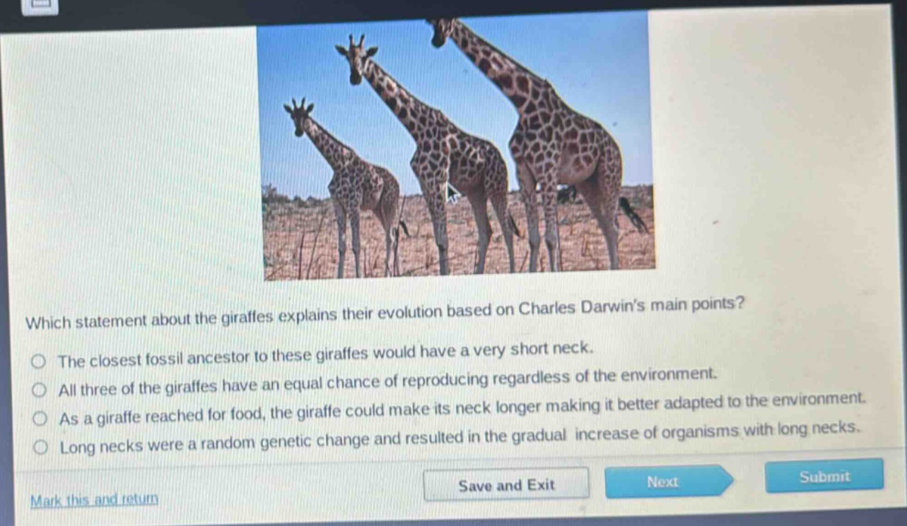 which statement about the giraffes explains their evolution based on charles darwins main points?\nthe closest fossil ancestor to these giraffes would have a very short neck.\nall three of the giraffes have an equal chance of reproducing regardless of the environment.\nas a giraffe reached for food, the giraffe could make its neck longer making it better adapted to the environment.\nlong necks were a random genetic change and resulted in the gradual increase of organisms with long necks.