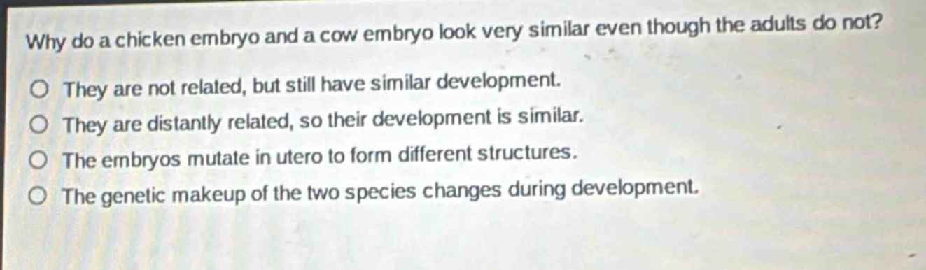 why do a chicken embryo and a cow embryo look very similar even though the adults do not?\no they are not related, but still have similar development.\no they are distantly related, so their development is similar.\no the embryos mutate in utero to form different structures.\no the genetic makeup of the two species changes during development.