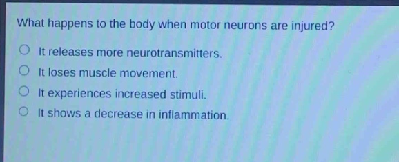 what happens to the body when motor neurons are injured?\nit releases more neurotransmitters.\nit loses muscle movement.\nit experiences increased stimuli.\nit shows a decrease in inflammation.