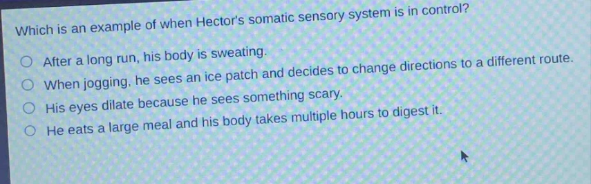 which is an example of when hectors somatic sensory system is in control?\nafter a long run, his body is sweating.\nwhen jogging, he sees an ice patch and decides to change directions to a different route.\nhis eyes dilate because he sees something scary.\nhe eats a large meal and his body takes multiple hours to digest it.