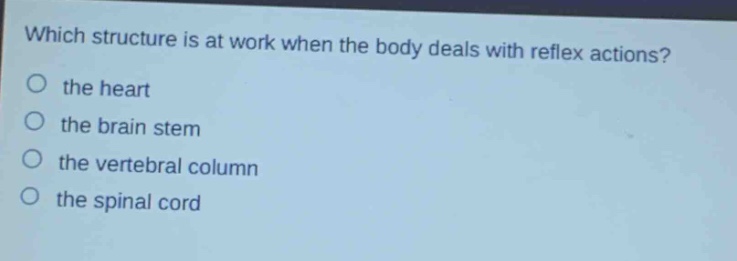 which structure is at work when the body deals with reflex actions?\no the heart\no the brain stem\no the vertebral column\no the spinal cord