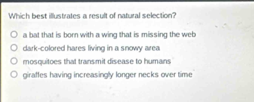 which best illustrates a result of natural selection?\no a bat that is born with a wing that is missing the web\no dark - colored hares living in a snowy area\no mosquitoes that transmit disease to humans\no giraffes having increasingly longer necks over time