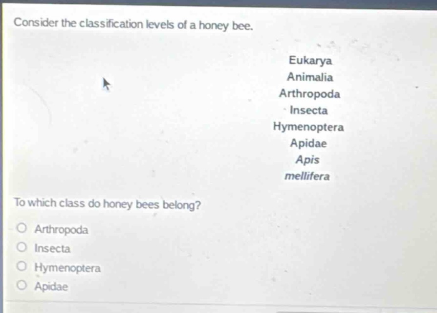 consider the classification levels of a honey bee.\neukarya\nanimalia\narthropoda\ninsecta\nhymenoptera\napidae\napis\nmellifera\nto which class do honey bees belong?\narthropoda\ninsecta\nhymenoptera\napidae