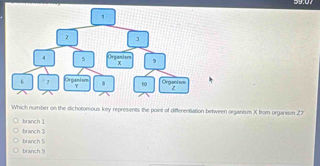which number on the dichotomous key represents the point of differentiation between organism x from organism z?\nbranch 1\nbranch 3\nbranch 5\nbranch 9