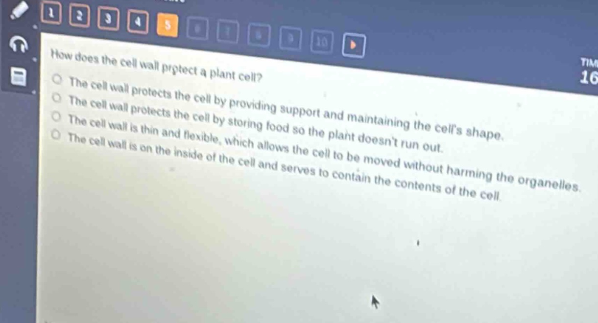how does the cell wall protect a plant cell?\nthe cell wall protects the cell by providing support and maintaining the cells shape.\nthe cell wall protects the cell by storing food so the plant doesnt run out.\nthe cell wall is thin and flexible, which allows the cell to be moved without harming the organelles.\nthe cell wall is on the inside of the cell and serves to contain the contents of the cell.