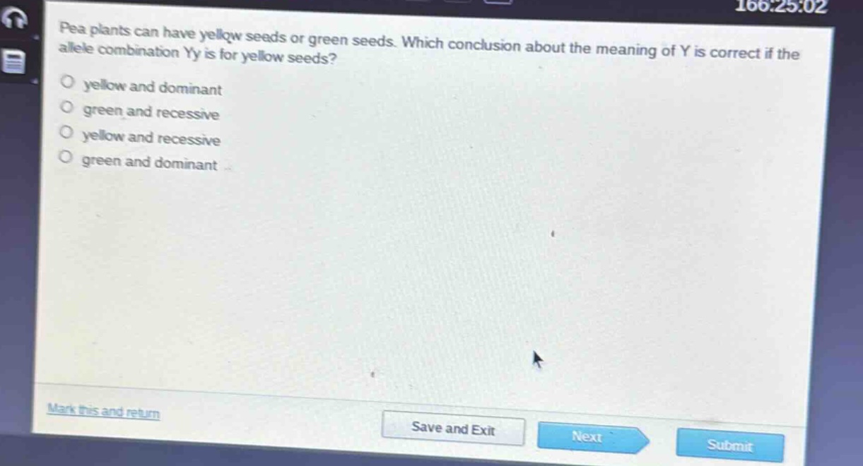 pea plants can have yellow seeds or green seeds. which conclusion about the meaning of y is correct if the allele combination yy is for yellow seeds?\no yellow and dominant\no green and recessive\no yellow and recessive\no green and dominant