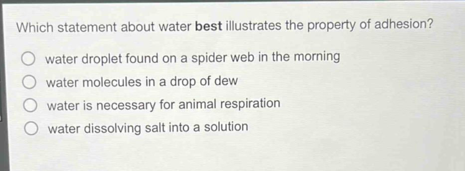 which statement about water best illustrates the property of adhesion?\nwater droplet found on a spider web in the morning\nwater molecules in a drop of dew\nwater is necessary for animal respiration\nwater dissolving salt into a solution