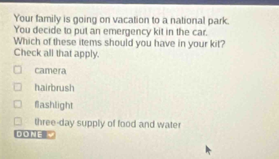 your family is going on vacation to a national park. you decide to put an emergency kit in the car. which of these items should you have in your kit? check all that apply. camera hairbrush flashlight three - day supply of food and water done