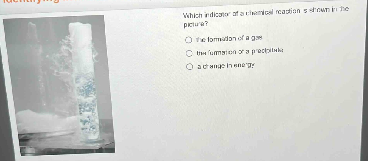 which indicator of a chemical reaction is shown in the picture?\n○ the formation of a gas\n○ the formation of a precipitate\n○ a change in energy