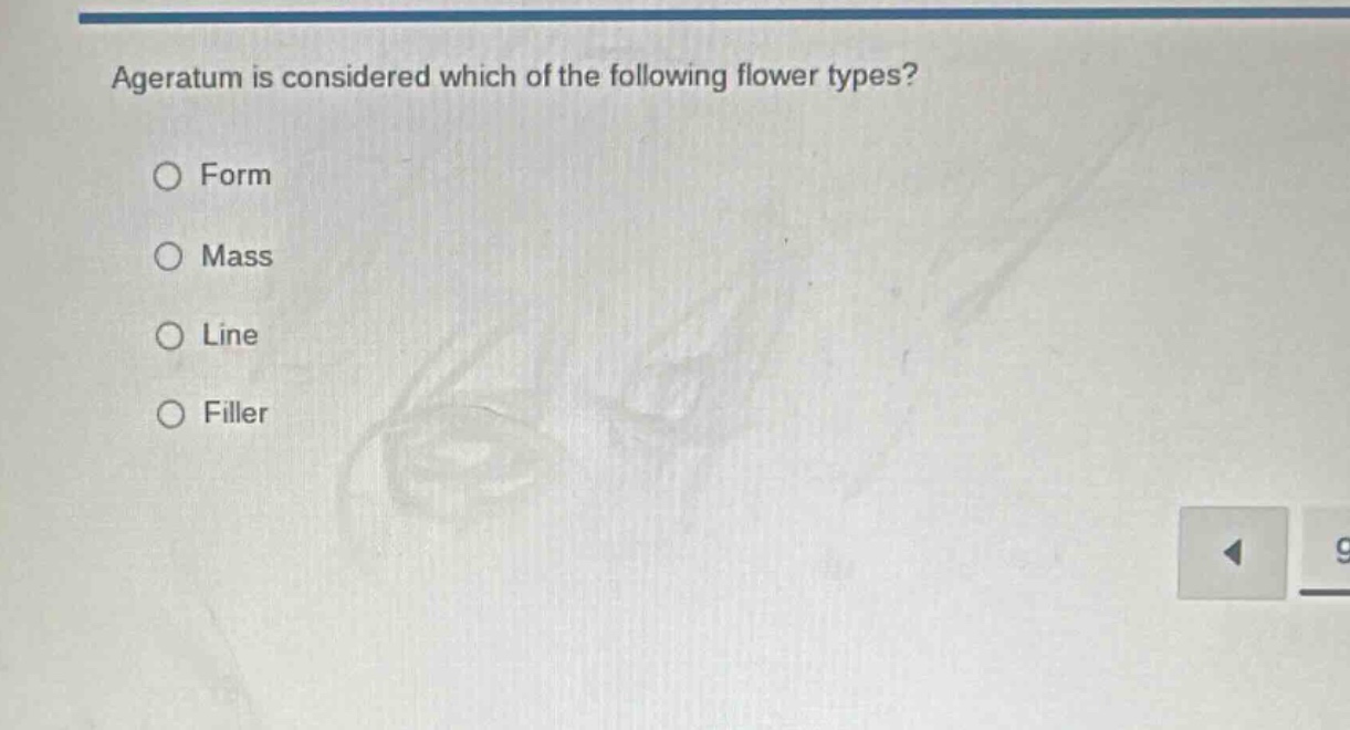 ageratum is considered which of the following flower types?\n○ form\n○ mass\n○ line\n○ filler