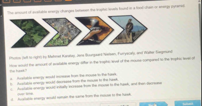 the amount of available energy changes between the trophic levels found in a food chain or energy pyramid.\nphotos (left to right) by mehmet karatay, jens buurgaard nielsen, furryscaly, and walter siegmund\nhow would the amount of available energy differ in the trophic level of the mouse compared to the trophic level of the hawk?\n a. available energy would increase from the mouse to the hawk.\n b. available energy would decrease from the mouse to the hawk.\n c. available energy would initially increase from the mouse to the hawk, and then decrease over time.\n d. available energy would remain the same from the mouse to the hawk.