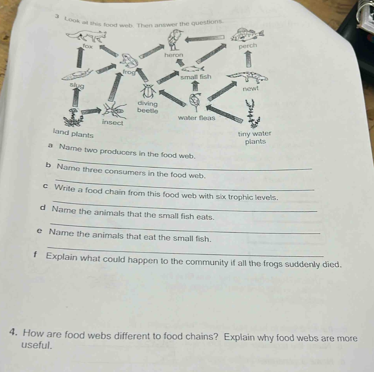 3 look at this food web. then answer the questions.\na name two producers in the food web.\nb name three consumers in the food web.\nc write a food chain from this food web with six trophic levels.\nd name the animals that the small fish eats.\ne name the animals that eat the small fish.\nf explain what could happen to the community if all the frogs suddenly died.\n4. how are food webs different to food chains? explain why food webs are more useful.