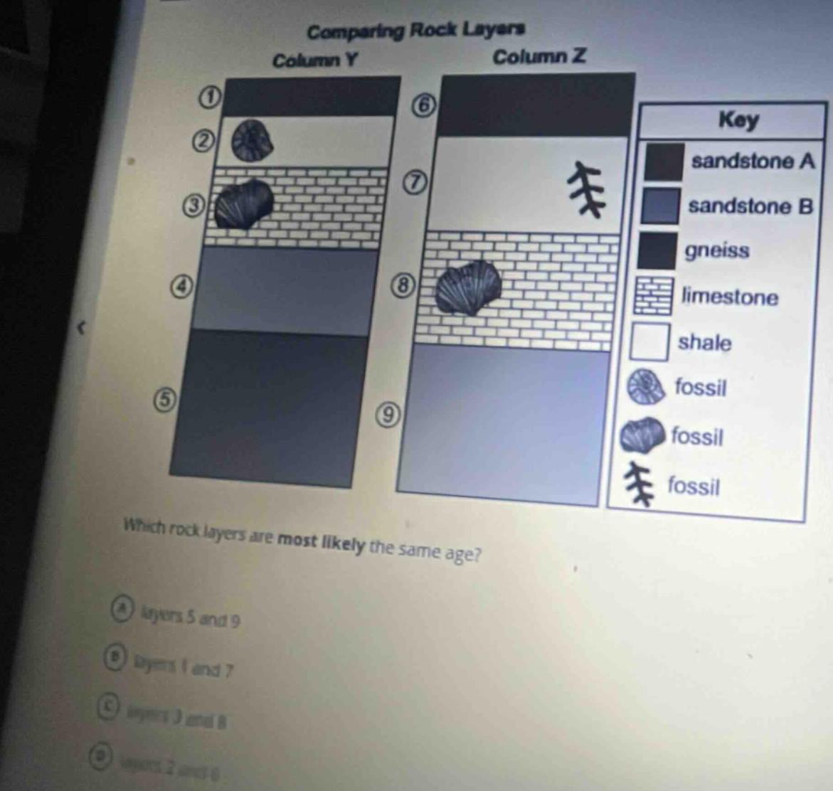 comparing rock layers\ncolumn y\ncolumn z\nkey\nsandstone a\nsandstone b\ngneiss\nlimestone\nshale\nfossil\nfossil\nfossil\nwhich rock layers are most likely the same age?\na layers 5 and 9\nb layers 1 and 7\nc layers 3 and 8\nd layers 2 and 6