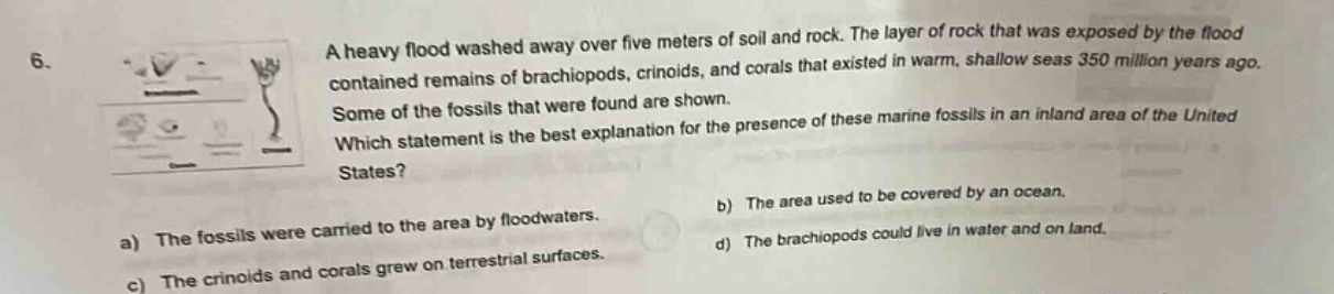 6. a heavy flood washed away over five meters of soil and rock. the layer of rock that was exposed by the flood contained remains of brachiopods, crinoids, and corals that existed in warm, shallow seas 350 million years ago. some of the fossils that were found are shown. which statement is the best explanation for the presence of these marine fossils in an inland area of the united states? a) the fossils were carried to the area by floodwaters. b) the area used to be covered by an ocean. c) the crinoids and corals grew on terrestrial surfaces. d) the brachiopods could live in water and on land.