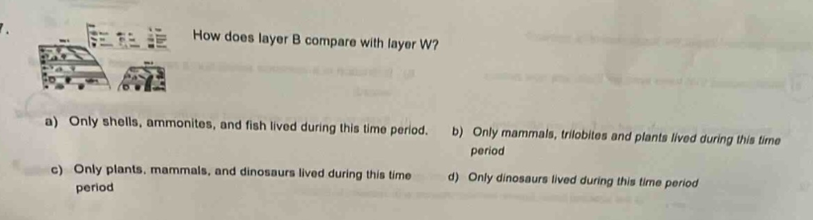 how does layer b compare with layer w?\na) only shells, ammonites, and fish lived during this time period.\nb) only mammals, trilobites and plants lived during this time period\nc) only plants, mammals, and dinosaurs lived during this time period\nd) only dinosaurs lived during this time period